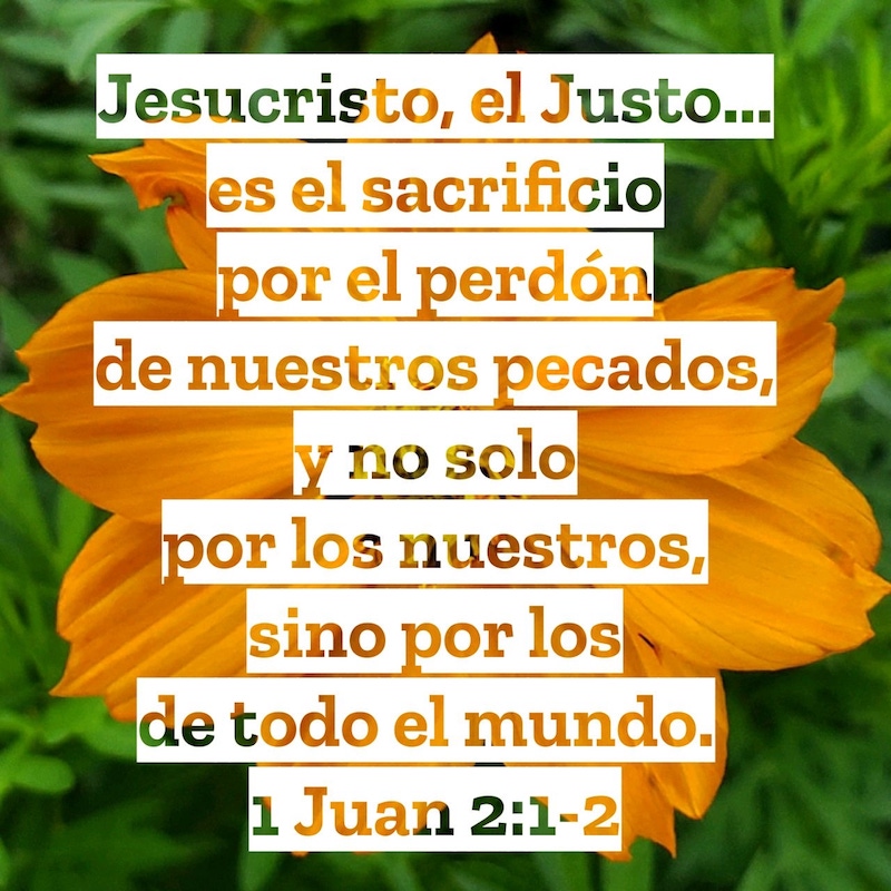 1 Juan 2:1-2